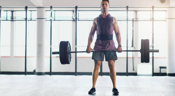 protective gym accessory weight lifting belt

